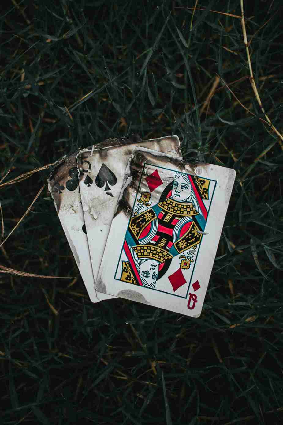 How to Win at 1Red Casino: Complete Guide to Maximizing Your Chances